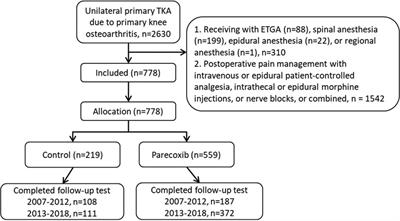 Associations of parecoxib and other variables with recovery and safety outcomes in total knee arthroplasty: insights from a retrospective cohort study